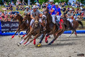 WE HORSE BALL A MACON