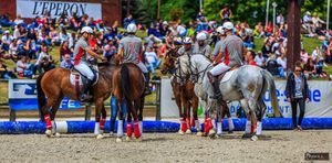 WE HORSE BALL A MACON