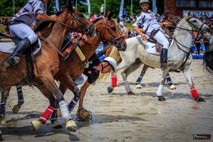 WE HORSE BALL A MACON