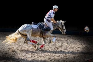 WE HORSE BALL A MACON : LE BILAN