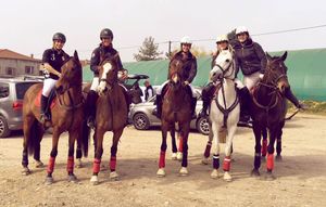 LA PETITE CHRONIQUE DE L’OUEST LYON HORSE BALL