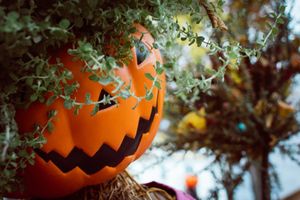 Trick or treat - Halloween in Tivoli