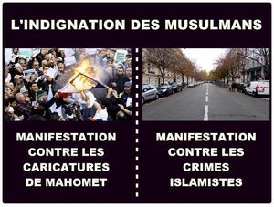 Majorité pacifique… Minorité agissante : La convergence vers la Terreur !