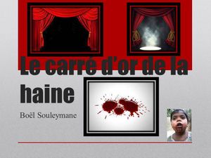 Livre sur le génocide des rohingyas en Birmanie "Le carré d'or de la haine " écrit par Boel Souleymane