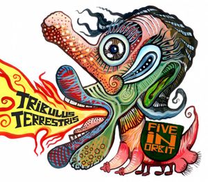 FIVE IN ORBIT « Tribulus Terrestris »