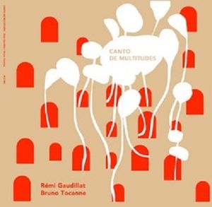 RÉMI GAUDILLAT – BRUNO TOCANNE « Canto de Multitudes » édition vinyle
