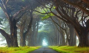 Un autre chemin
