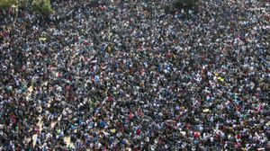 INVASION MIGRATOIRE EN CORREZE
