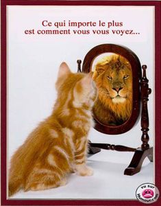 (photo empruntée à Humour.com)