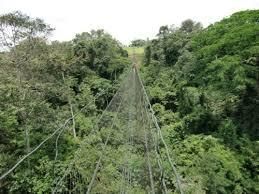 Gabon, une terre d'opportunité touristique