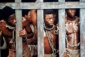 A la découverte de l'ile James, sur les traces de Kunta Kinteh