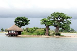 Le Delta du Saloum: Un patrimoine mondial qui vaut le détour