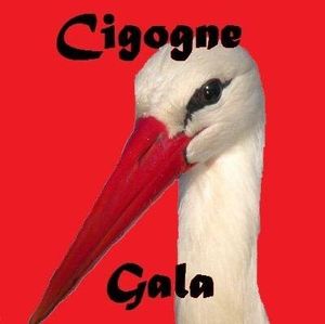 #36 - #CigogneGala : The Enquète I