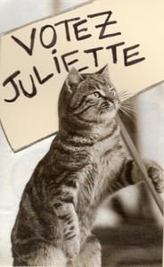 Ma lettre de reddition : Seigneur Facebook, je me rends !