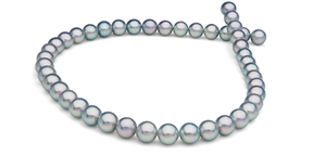 Collier de perles Akoya Bleu