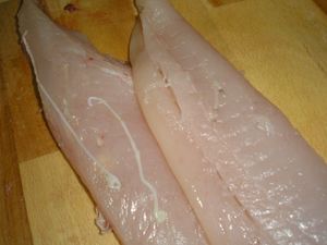Palometa Japuta