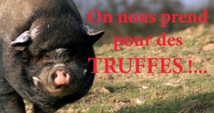 Tablettes de choco: encore une arnaque!