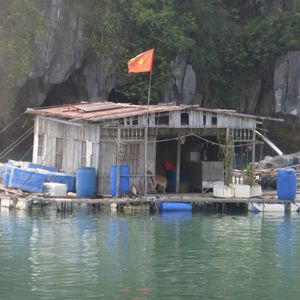 La Baie de Ha Long: une catastrophe écologique!
