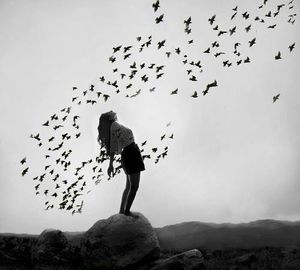 "Terre invisible..."
