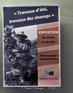 exposition photos de Jeanne Devos « travaux d'été , travaux des champs »