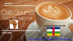 CENTRAFRICAINS, VOUS DEVEZ SAVOIR A QUI VOUS CONFIEZ VOTRE DESTIN