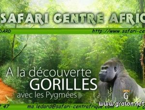 CENTRAFRIQUE: Quels sont tes rêves secrets, tes désirs, et les objectifs que tu pourras atteindre en manifestant tes qualités uniques.