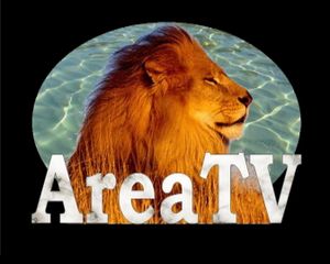 VERONA REPORT - AREA TV