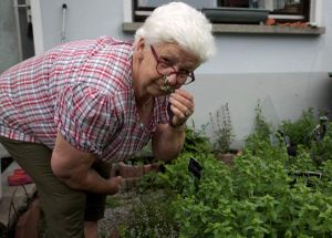Tag der Offenen Gärten in Veitshöchheim war ein Riesenerfolg - Teil 5: Kräuter und syrische Mal- und Kochkunst standen im Garten von Anne und Doris Winkler im Mittelpunkt des Interesses
