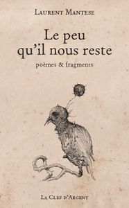 Le peu qu'il nous reste, Laurent Mantese