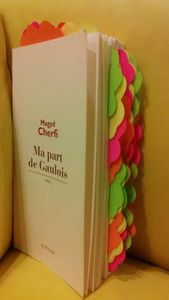 Ma part de Gaulois de Magyd CHERFI