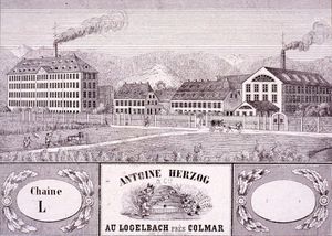 Herzog