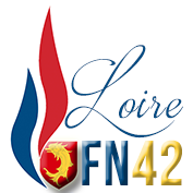 Communiqué de Presse du Groupe St-Etienne Bleu Marine : " Les Roms font bouillir les voisins du Chaudron "
