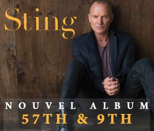Sting : Un coffret collector et un nouvel album