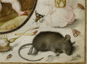 Joris Hoefnagel, Amor Lethaos, 1598.