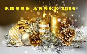 Meilleurs vœux pour 2015