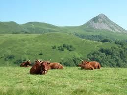 L'agriculture recrute...