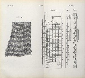 "Machine à plisser" de Fortuny