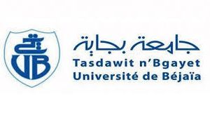 LETTRE A M. LE PROFESSEUR MOURAD OUCHICHI