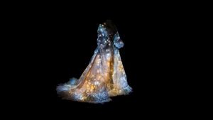 La nuit des musées