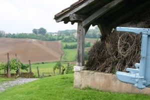 Vendanges au Musée de la Chalosse