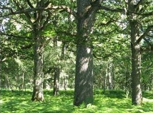 La Seine St Denis, au travail contre le dérèglement climatique!