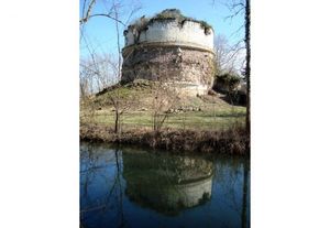 L'œuvre de Léonard de Vinci dans la Vienne