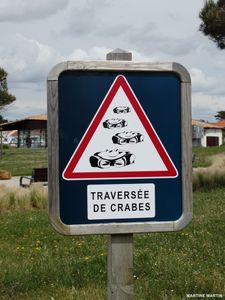 Défi n° 152 ("Insolite") proposé par "Martine Quai des rimes" pour les Croqueurs de mots".