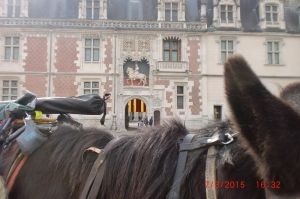 le cheval de Roi qui amble