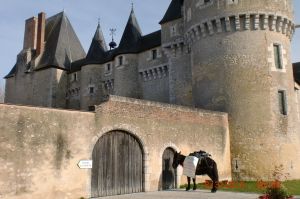 Mario veut entrer dans la cour du Chateau de Fougères