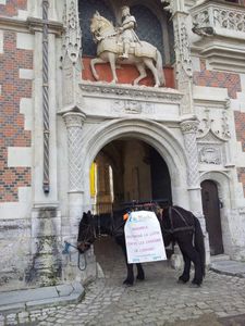 la bourrique! il vient de s'attraper!!!!