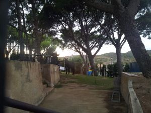 le jardin de l'auberge