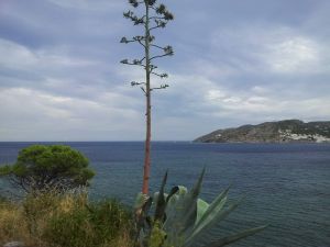 BALADE CATALANE septembre 2015