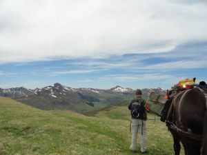 une bien belle promenade en perspective cavalière.