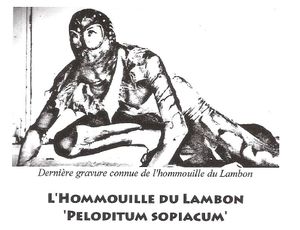 Dernière gravure de l'hommouille
